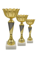 CTS 272 | SET de 3 Cupe Sportive - TrophyShop
